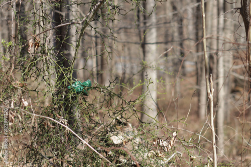 Looks like a green dog poop bag with poop, that an irresponsible dog owner threw into some bushes.