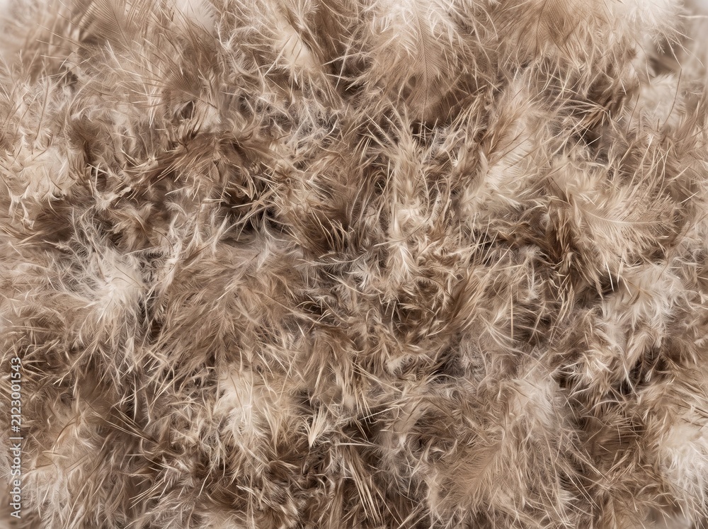 Obraz premium High definition macro photograph of seamless owl down feather pattern texture