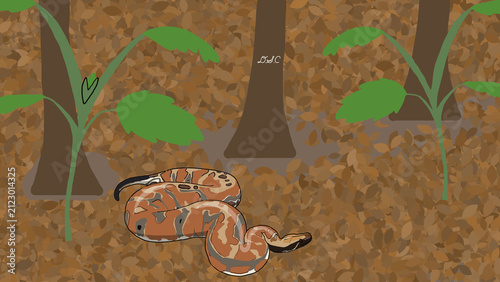 Konstfotografi Brongersma python: Forest Floor Sentinel