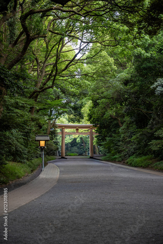 road in the forest