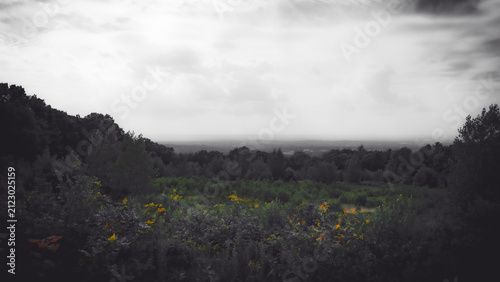 Dramatic Scenic View from Case Mountain in Manchester Connecticut