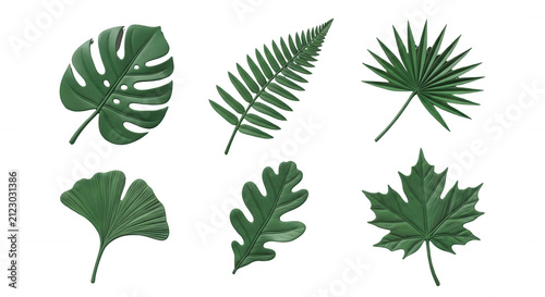 3d rendered diverse green leaves on white background botanical forms for design and nature themed content