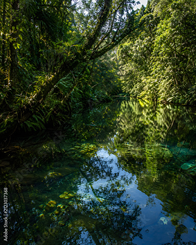 lagoon reflecting on a beautiful morning in the Amazon