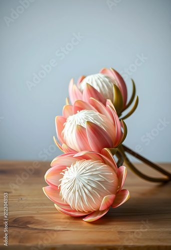 Three pink protea flowers w...