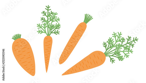 Carrot, vegetable set, isolated object. Design element for packaging, books, menus, cards, and labels. Vector illustration, flat style.