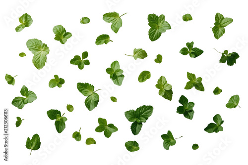 Scattered small green herb leaves and clover shapes