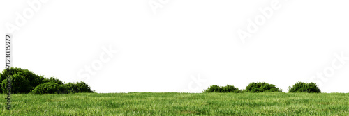 A wide green meadow with small bushes and grass under a clear sky for natural landscape and outdoor environment background projects isolated on a transparent background