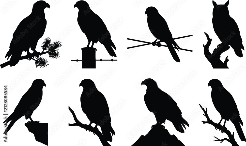 Fototapeta premium Birds of Prey Silhouettes Vector Collection Featuring Eagles Hawks Owls and Perched Falcons