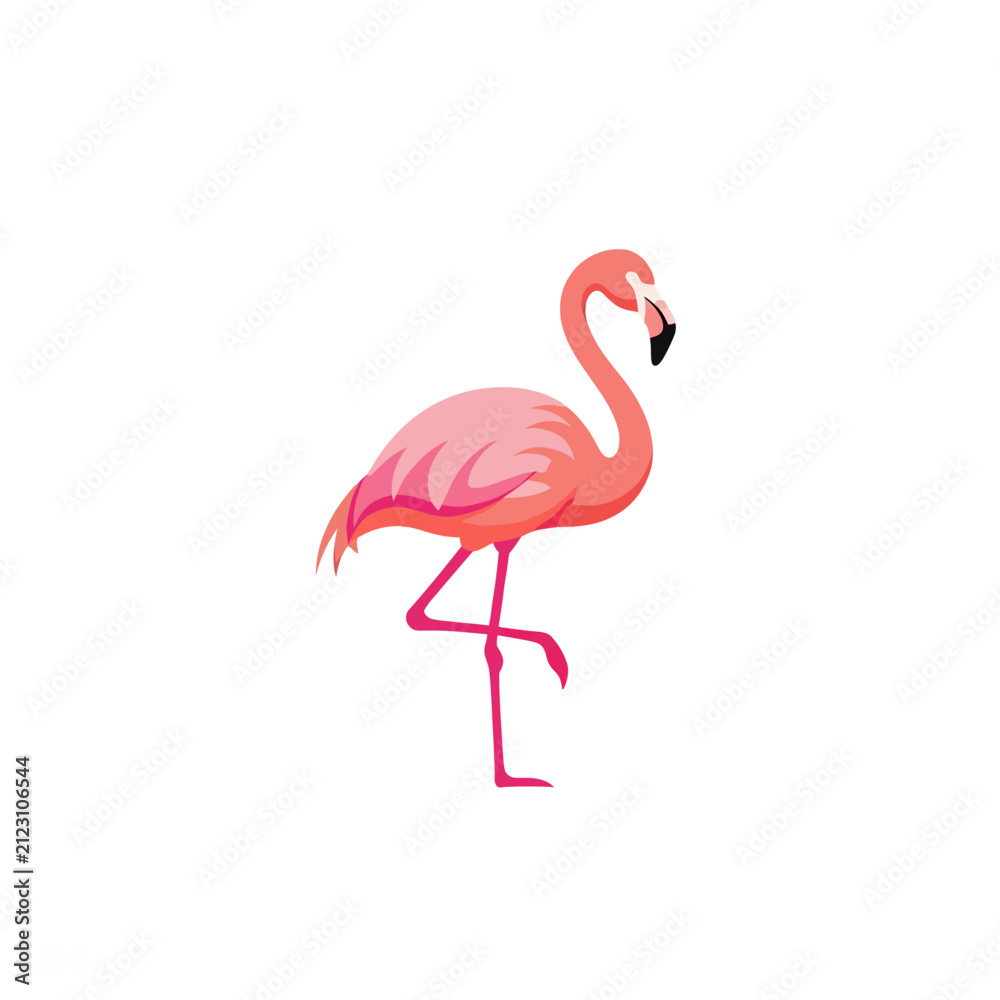 Fototapeta premium Pink flamingo illustration standing on one leg, tropical bird wildlife vector art isolated on white background
