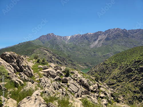 Принти на полотні Snow-capped alpine peaks dominate the horizon above verdant spring slopes, with rocky outcrops anchoring the foreground and a mountain stream flowing through the lush valley below