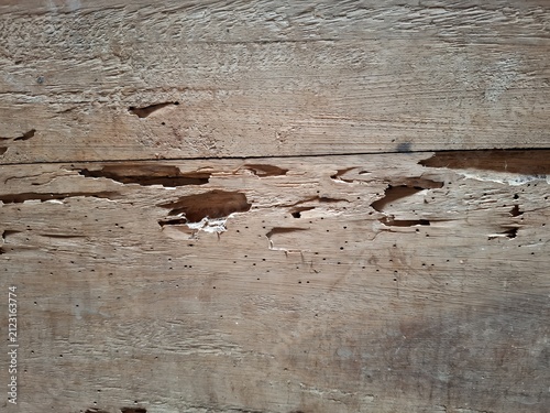 Close-up of old wooden surface damaged by termites with holes, tunnels, and structural decay.