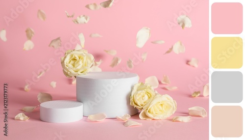 White rose flowers and fall...