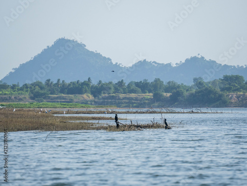 Wide panoramic view of a serene lake with mountains and forest shore under clear blue sky