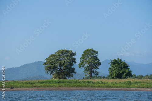 Beautiful natural landscape featuring green trees near a calm lake with mountains under a clear blue sky in sunny daylight