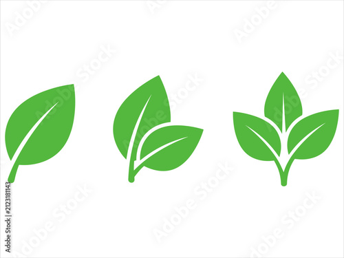 Set of three green leaf icons representing growth stages