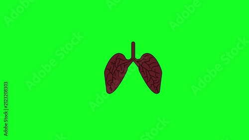 Appearance of a lung symbol. Animation of a human lung icon. Lung icon with a repeating graphic motion.