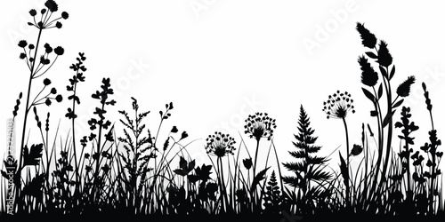 wild meadow silhouette on white background plants flowers grass botanical nature black vector