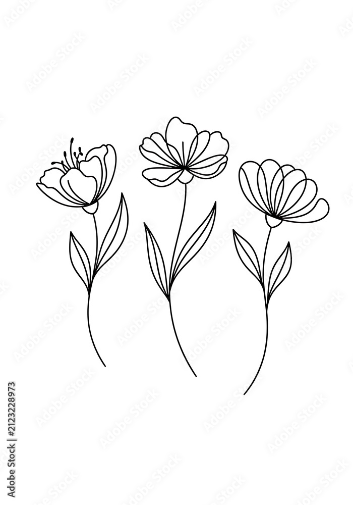 Obraz premium Whispers of Petals: A Minimalist Line Art Composition
