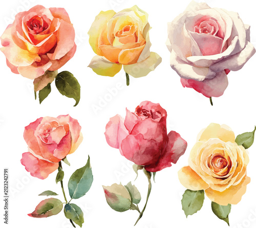set of roses vector