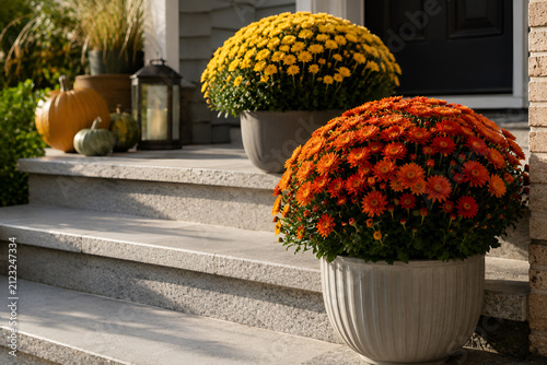 Potted mums on steps. Colorful Chrysanthemum on Front Porch. Autumn Season