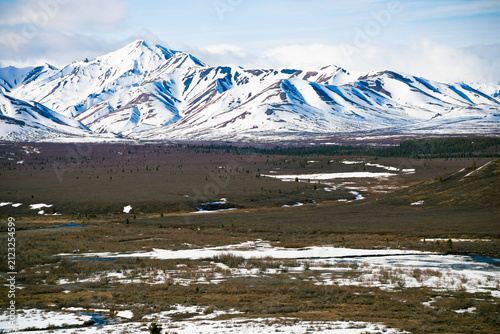 Canvas Print snow covered mountains in Denali National Park, Alaska