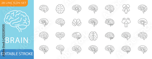 Brain Line Icon Set. Cerebrum, Hypothalamus, Amygdala, Hippocampus Formation and Medulla Oblongata - Editable Vector Illustration