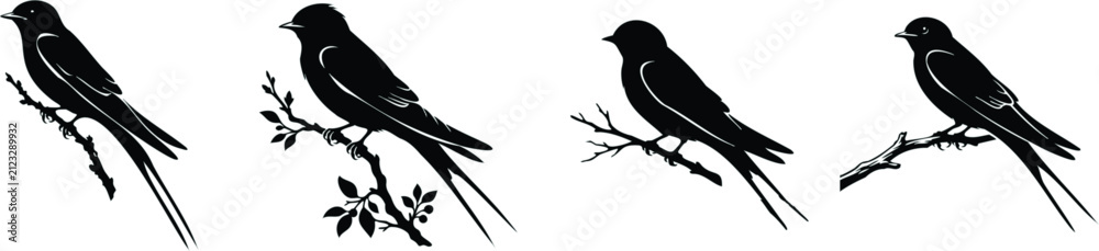Fototapeta premium Detailed view of a barn swallow perched silhouette, vector isolated on white