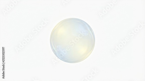 A Perfect White Egg in Soft Light