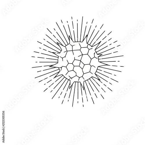 Abstract Geometric Sunburst