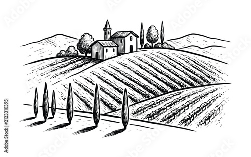 住宅のあるトスカーナのブドウ畑の風景の手描き