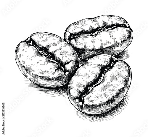 白い背景に 3 つの焙煎コーヒー豆の手描き