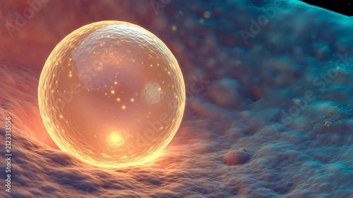 Caveolae-Mediated Nanoparticle Endocytosis