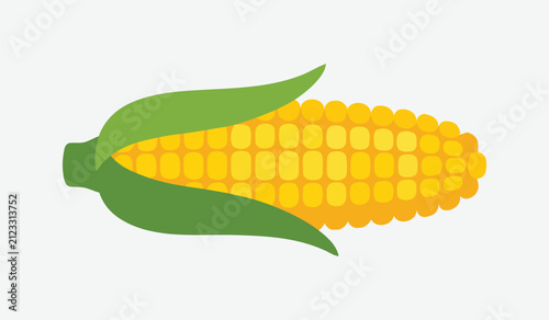 Fresh ear of yellow corn with green husks vegetable agriculture nutrition illustration isolated culinary ingredient