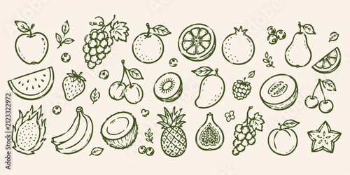 Hand Drawn Fruit Doodle Vector Set for Organic Food Branding