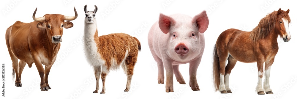 Fototapeta premium Farm domestic animals bull llama pig and horse set isolated on transparent background. PNG. Generated AI