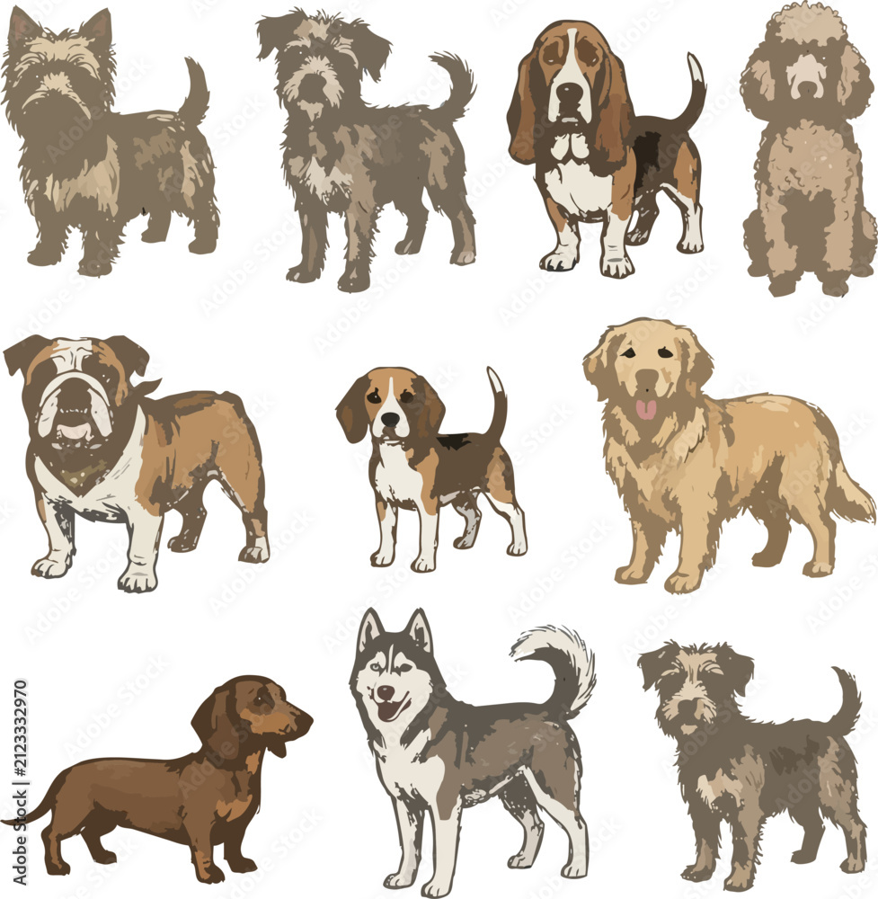 Obraz premium Collection of Cute Purebred Dogs and Puppies Isolated on White Background Studio Pet Animal Set with Different Breeds and Canine Portraits