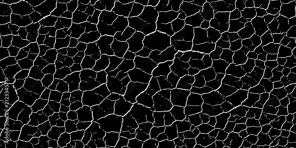 Fototapeta premium Fine Black Cracked Stone Texture with Dense Natural Pattern Abstract Background for Designers