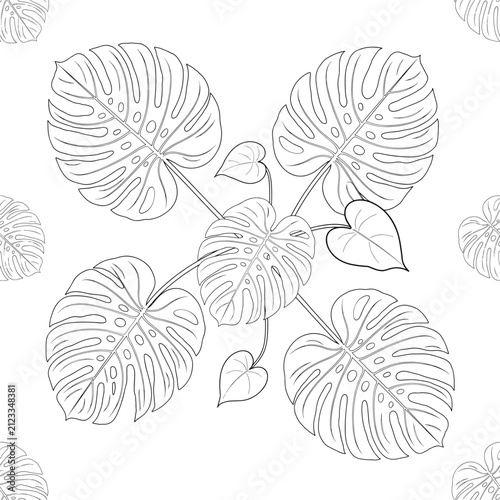 Seamless pattern of monstera deliciosa leaves, black and white line