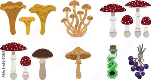 Fotografía Wild mushroom cartoon vector illustration collection featuring chanterelle, fly