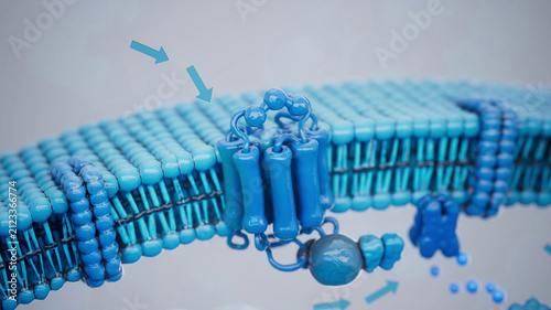 Conceptual 3D illustration of adrenaline triggering lipolysis inside a fat cell