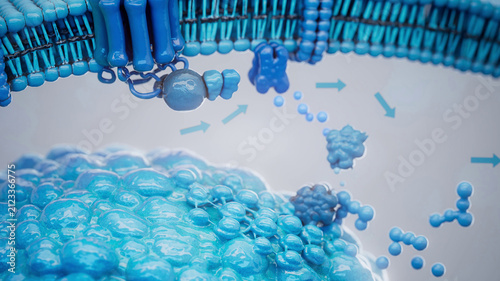 Conceptual 3D illustration of adrenaline triggering lipolysis inside a fat cell