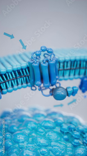 Conceptual 3D illustration of adrenaline triggering lipolysis inside a fat cell