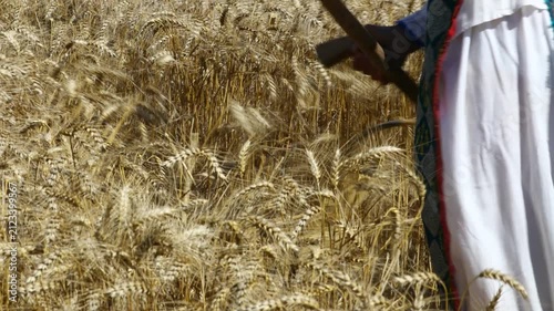 Woman farmer in traditional folk costume with hat is reaping wheat manually with a scythe, harvest in the traditional rural way.