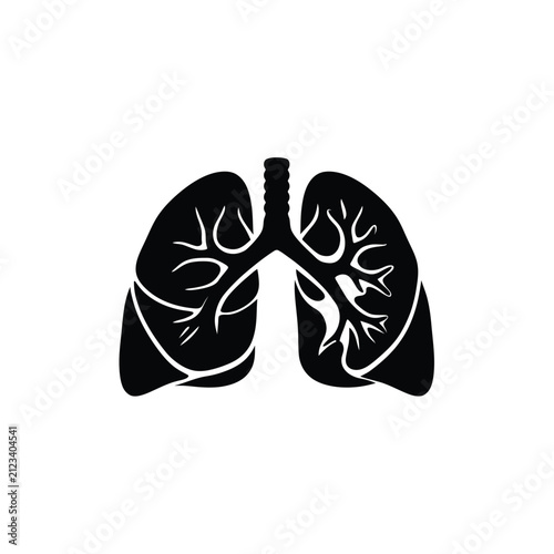 Foto Human lungs with trachea and bronchi