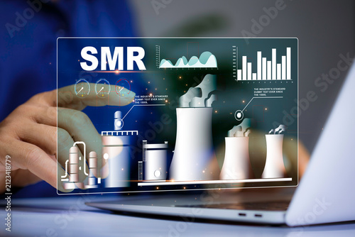 Small Modular Reactor (SMR) Nuclear Power Plant Concept with Digital Energy Technology and Clean Electricity Generation