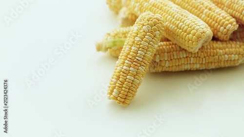 Ripe yellow corn ready for cooking. Corn and harvest time. Yellow maize cobs close-up. Agricultural industry and farming.	
