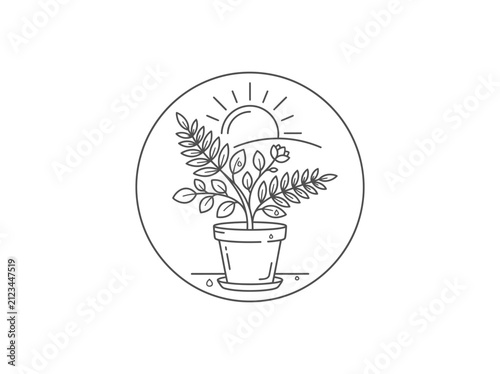 Potted plant growing in sunlight with rolling hills and rising sun