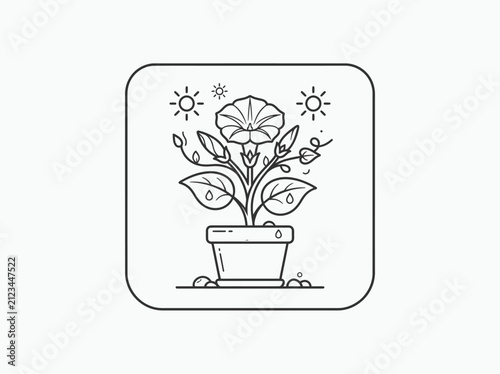 Potted flower growing with water and sun simple outline illustration