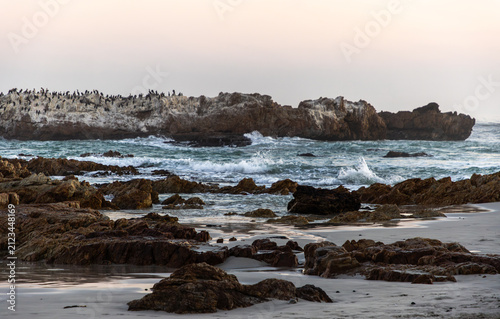 beautiful rugged rocky coastline of Kammabaai Beach, Hermanus, South Africa at sunset and dusk