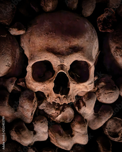 Human skull embedded in a wall of ancient bones, dramatically lit against darkness in the Catacombs of Paris underground ossuary